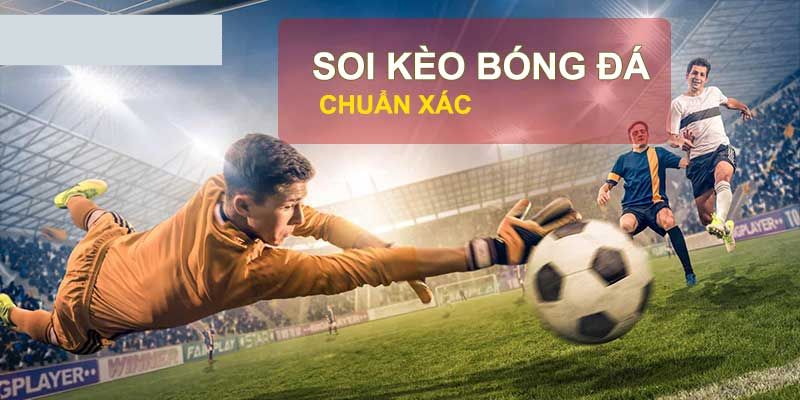 Cách soi kèo nhà cái chuẩn chỉ